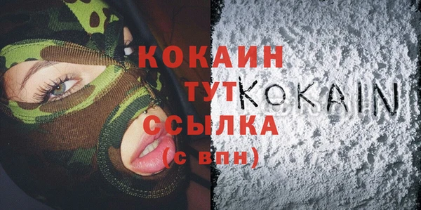 индика Баксан