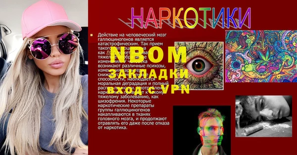 индика Баксан