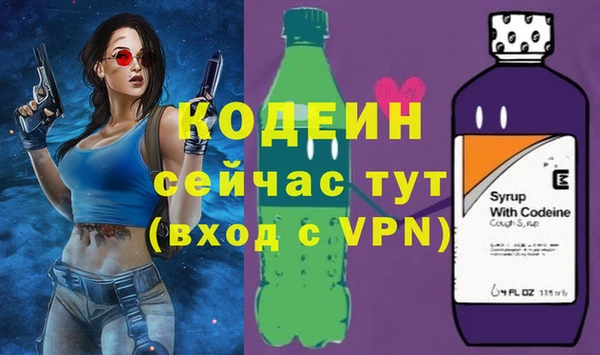индика Баксан