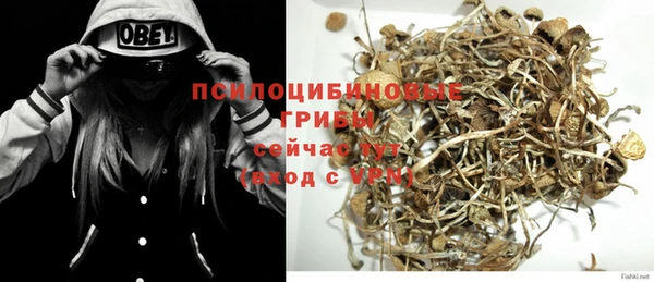 индика Баксан