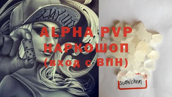 индика Баксан