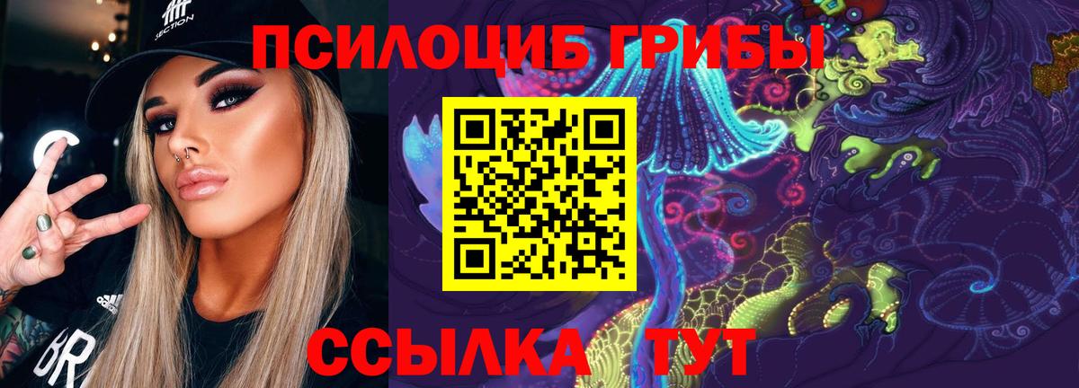 Галлюциногенные грибы Psilocybe Унеча