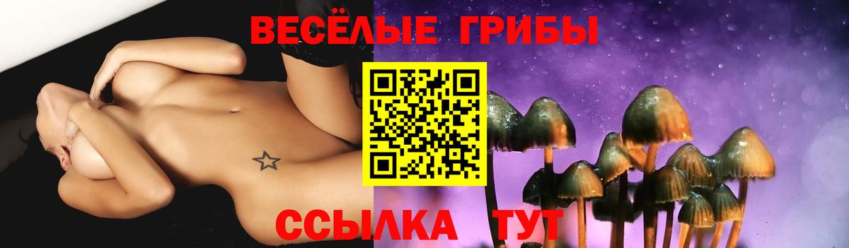 Галлюциногенные грибы Psilocybe  Псилоцибиновые грибы Magic Shrooms  Унеча  Вход с VPN 